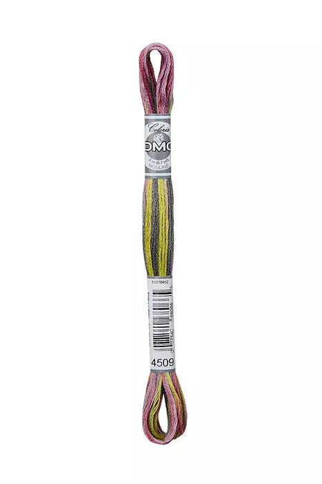 DMC Coloris Floss