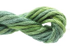 Waterlilies (000 - 141)