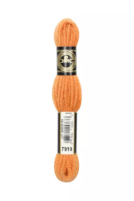 DMC Laine Colbert Tapestry Wool (7800 and up)