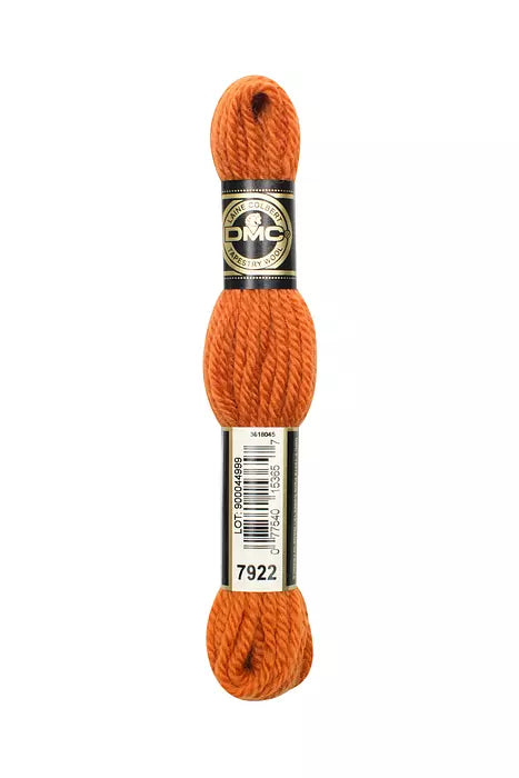 DMC Laine Colbert Tapestry Wool (7800 and up)