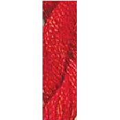 Wildflowers (214 and 299)