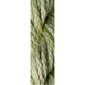 Wildflowers (214 and 299)