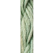 Wildflowers (214 and 299)