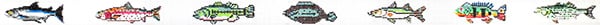 139T - Fresh Water Fish Belt
