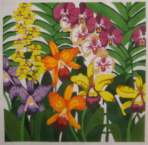 169 - Orchids