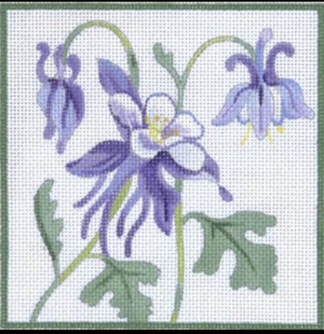 182072 - Blue Columbine II