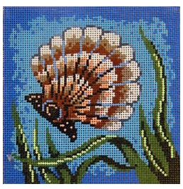 2000 - Scallop Shell with White Coral on Aqua