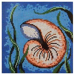 2001 - Nautilus Shell with White Coral on Aqua