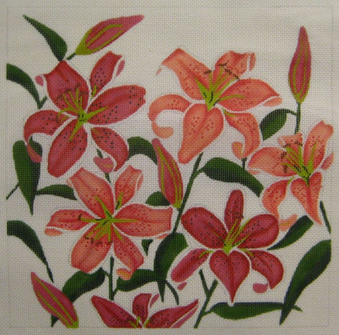 217 - Stargazer Lily