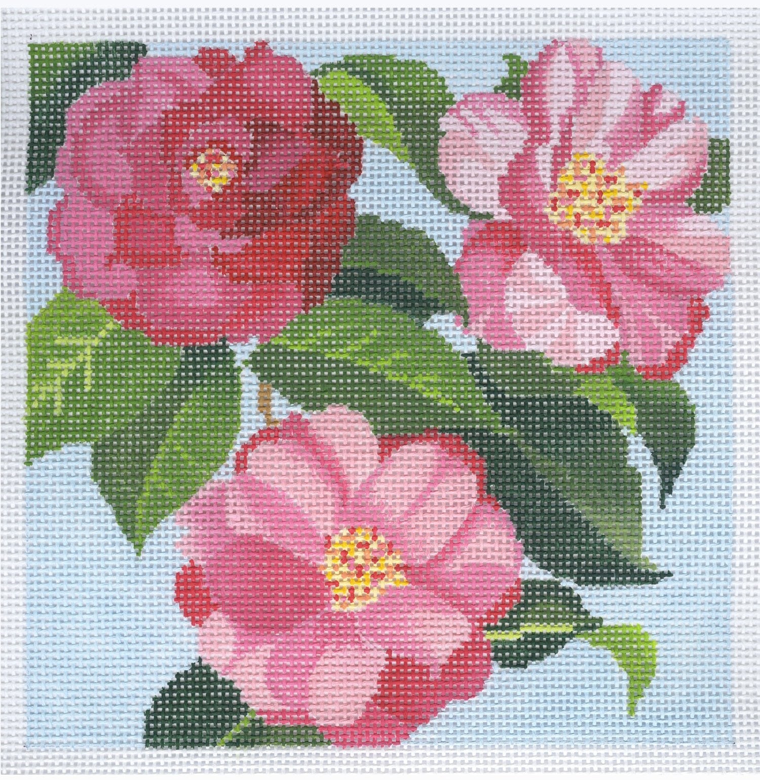 22-225 - Camellia