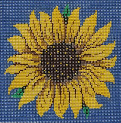 2838 - Sunflower on Blue Background