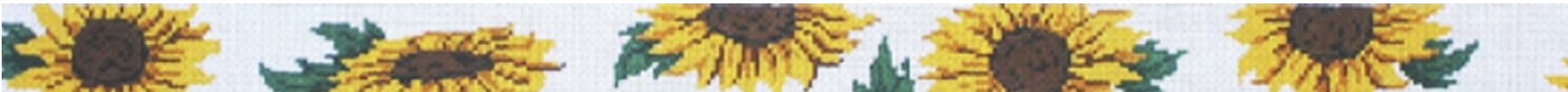 2876 - Belt - Sunflower