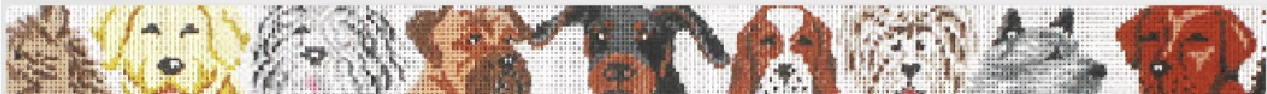 3103 - Belt - Doggies