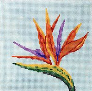 4228 - Bird of Paradise