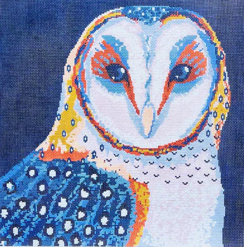 TA4136 - Barn Owl