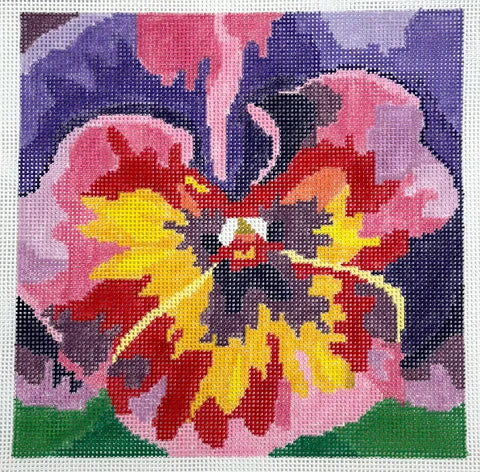55C - Purple/Pink Pansy