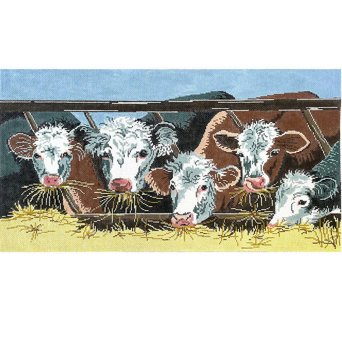 5901 - White Faced Cows Eating