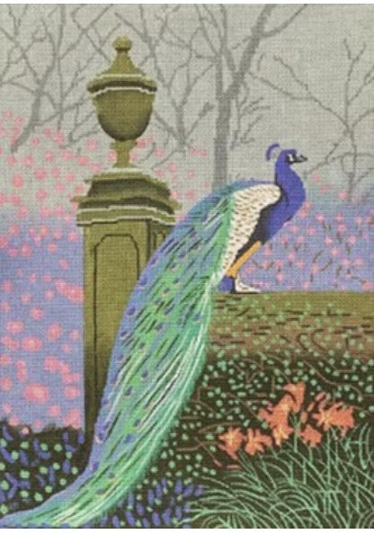 60002 - Peacock