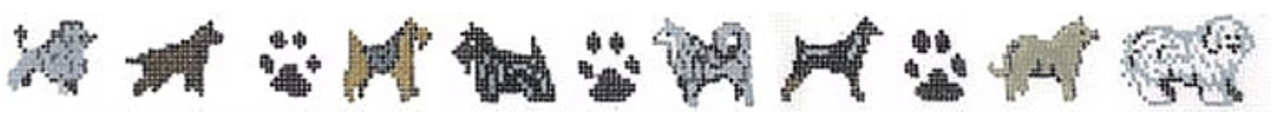 6027 - Belt, Dog Breeds