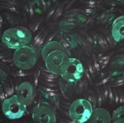 DM2 - 2mm Sequins