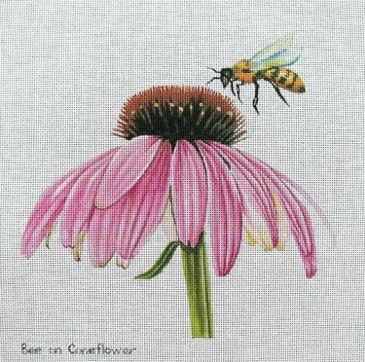 70655 - Bee on Coneflower