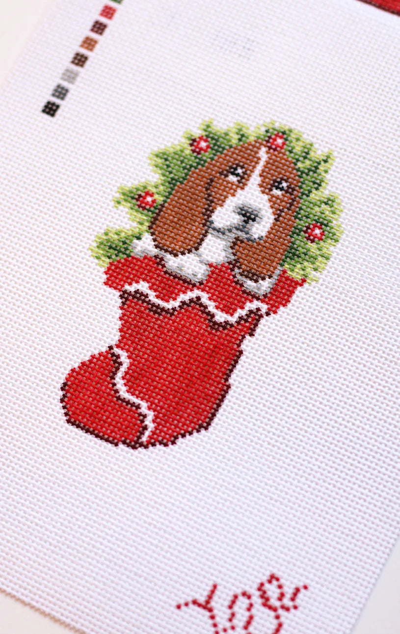 SBS191 - Basset in a Stocking