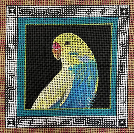 AN192 - Parakeet