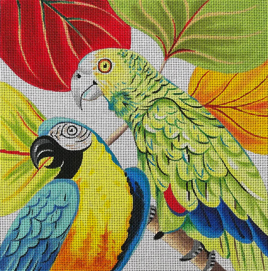 AN313 - Parrots