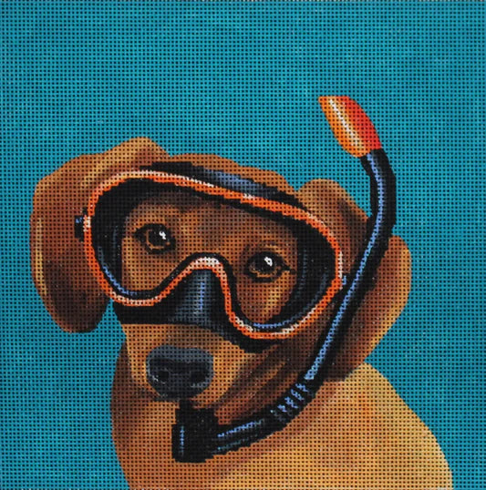 AN404 - Dog Diver