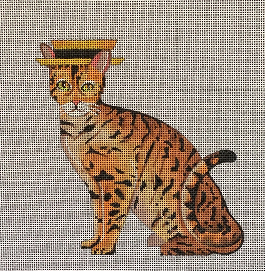 AN445 - Bengal Cat with Flat Hat