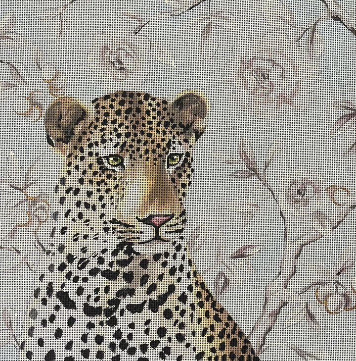 AN523 - Leopard