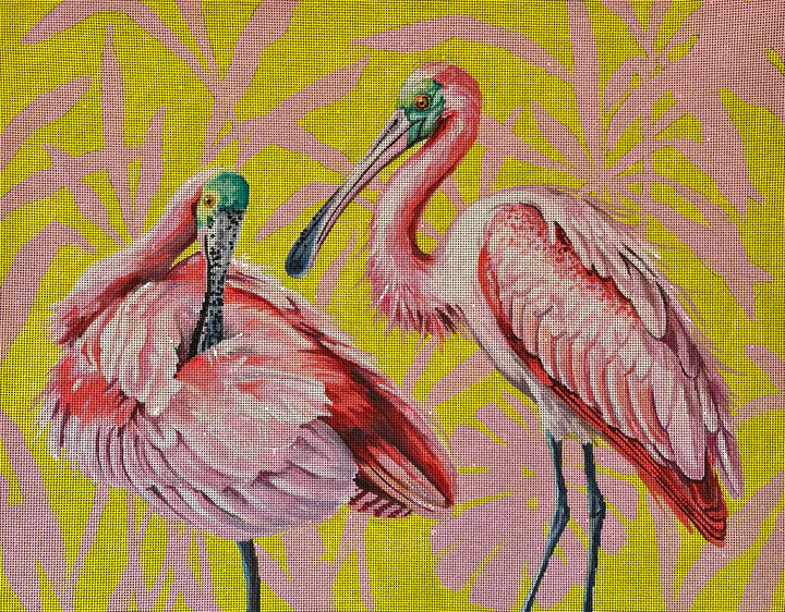AN531 - Spoonbills