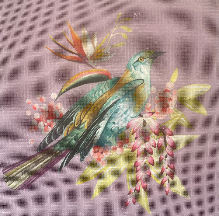AN533 - Birds