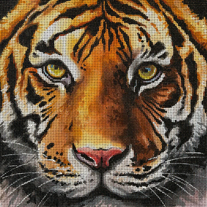 AN535 - Tiger