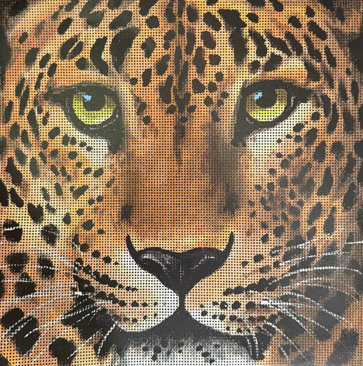AN536 - Leopard
