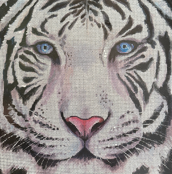 AN537 - White Tiger