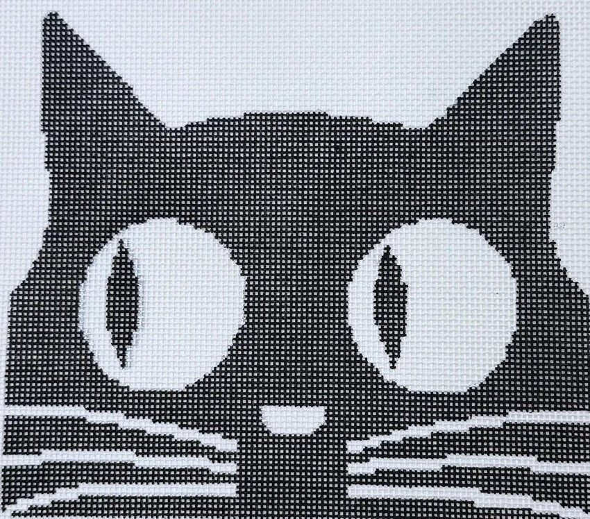 ASIT081 - Felix