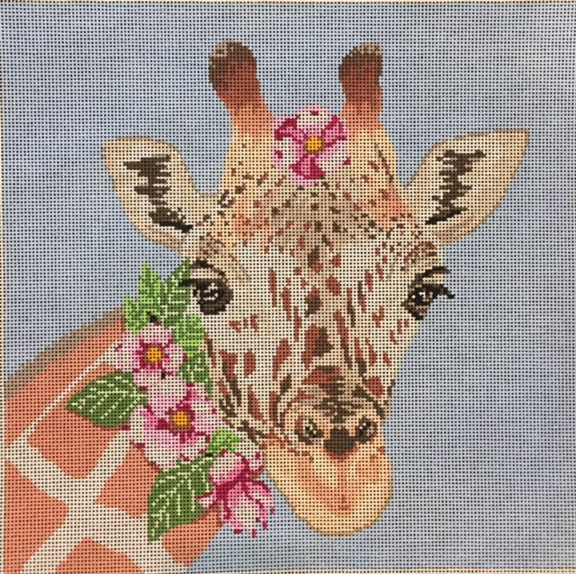 ASIT205 - Giraffe