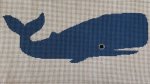 ASIT219 - Whale