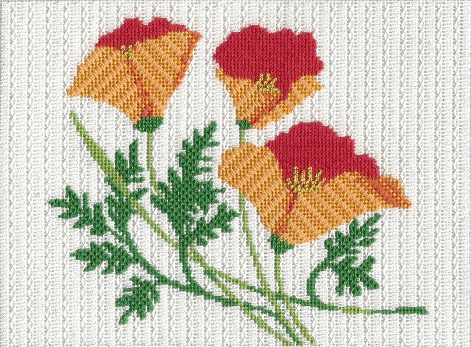 ASIT275 - California Poppy