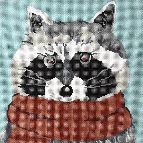 ASIT307 - Raccoon