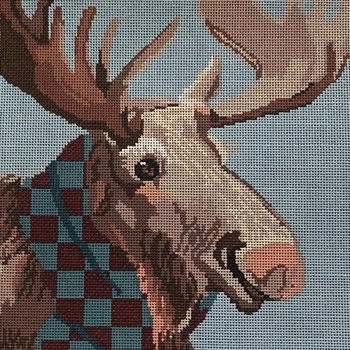 ASIT310 - Moose