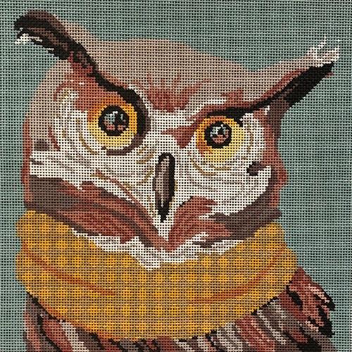 ASIT311 - Owl