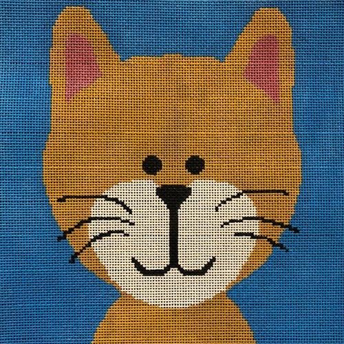 ASIT331 - Kitten