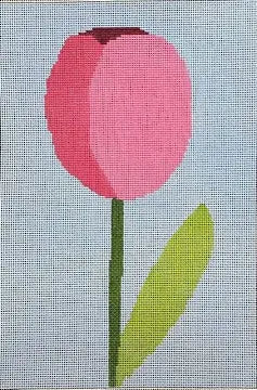 ASIT508 - Tulips