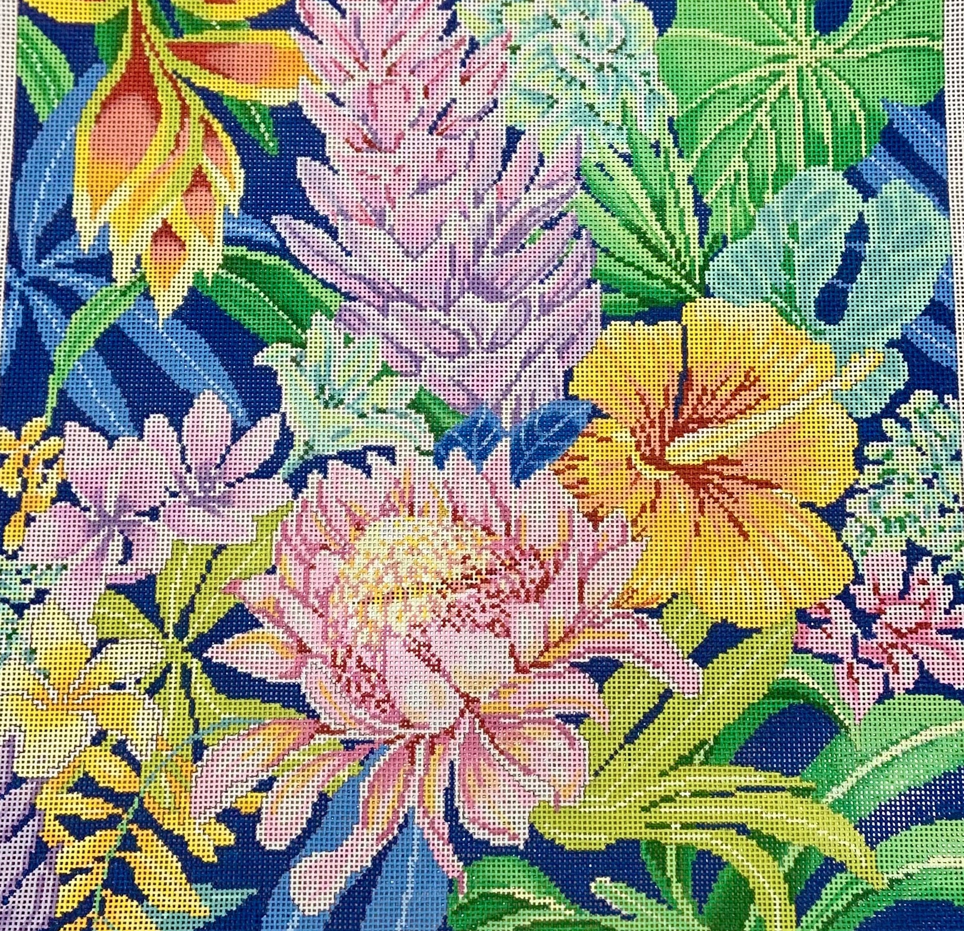 ASIT520 - Tropical 1