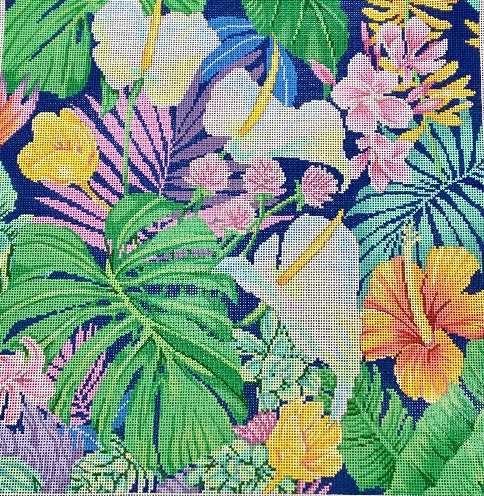 ASIT521 - Tropical 2