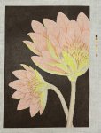 ASIT600 - Lotus