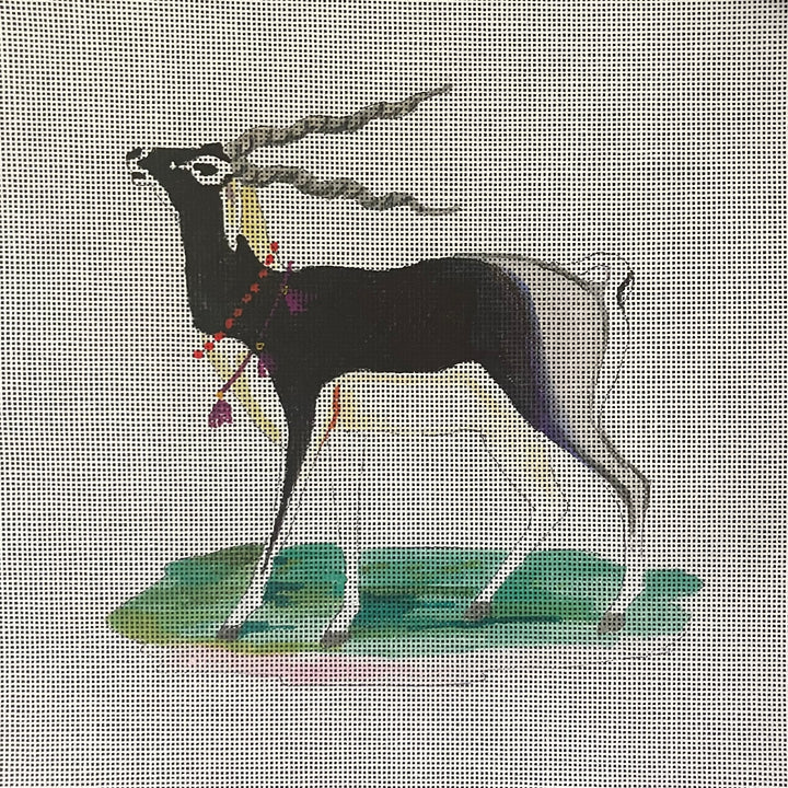 AN480 - Gazelle