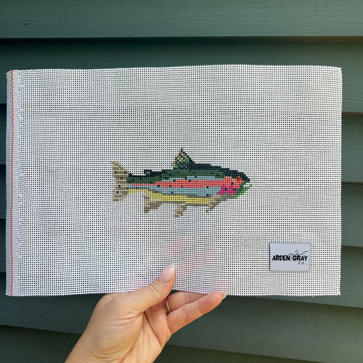 Rainbow Trout - 13 mesh